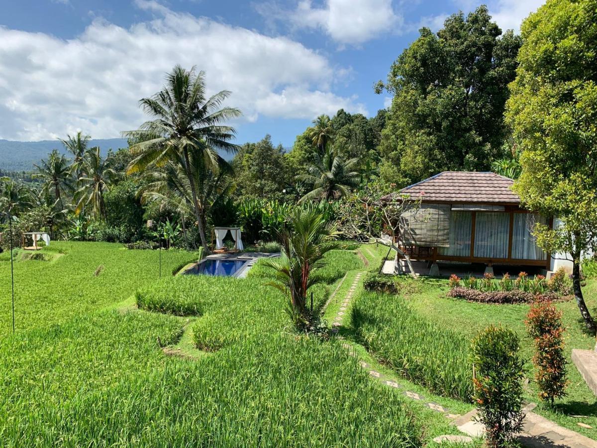 Bali De Pardis Cottage Munduk  Exterior photo